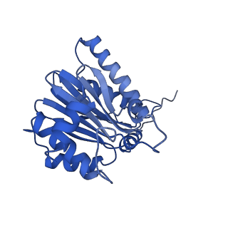 4590_6qm7_B_v1-2
Leishmania tarentolae proteasome 20S subunit complexed with GSK3494245