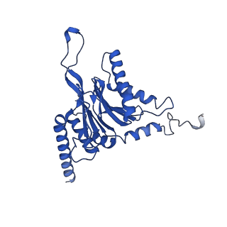 4590_6qm7_C_v1-2
Leishmania tarentolae proteasome 20S subunit complexed with GSK3494245
