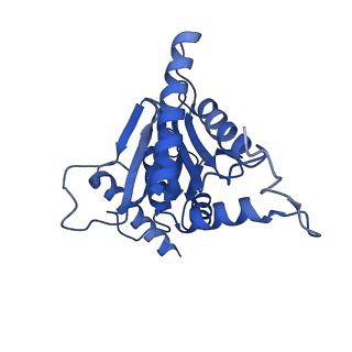 4590_6qm7_D_v1-2
Leishmania tarentolae proteasome 20S subunit complexed with GSK3494245