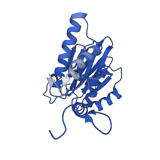 4590_6qm7_E_v1-2
Leishmania tarentolae proteasome 20S subunit complexed with GSK3494245