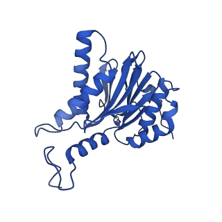 4590_6qm7_F_v1-2
Leishmania tarentolae proteasome 20S subunit complexed with GSK3494245