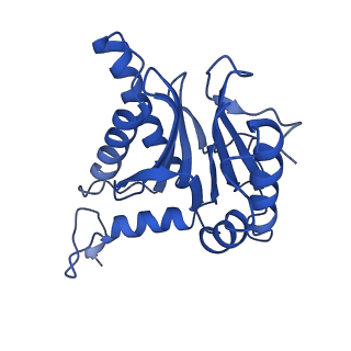 4590_6qm7_G_v1-2
Leishmania tarentolae proteasome 20S subunit complexed with GSK3494245