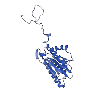 4590_6qm7_H_v1-2
Leishmania tarentolae proteasome 20S subunit complexed with GSK3494245
