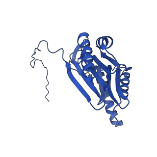 4590_6qm7_I_v1-2
Leishmania tarentolae proteasome 20S subunit complexed with GSK3494245