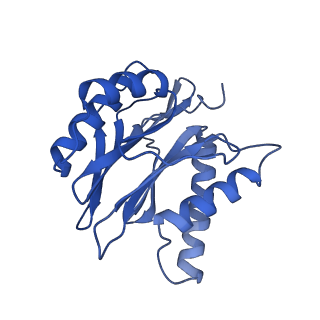 4590_6qm7_J_v1-2
Leishmania tarentolae proteasome 20S subunit complexed with GSK3494245