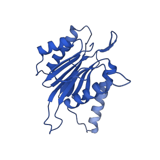 4590_6qm7_K_v1-2
Leishmania tarentolae proteasome 20S subunit complexed with GSK3494245