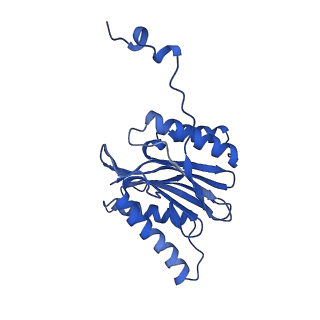 4590_6qm7_N_v1-2
Leishmania tarentolae proteasome 20S subunit complexed with GSK3494245