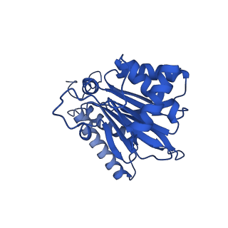 4590_6qm7_O_v1-2
Leishmania tarentolae proteasome 20S subunit complexed with GSK3494245