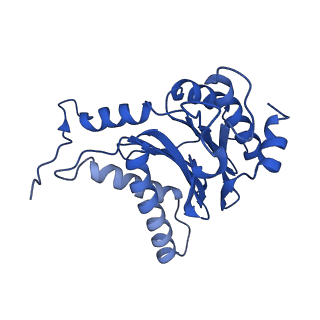 4590_6qm7_P_v1-2
Leishmania tarentolae proteasome 20S subunit complexed with GSK3494245