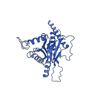 4590_6qm7_Q_v1-2
Leishmania tarentolae proteasome 20S subunit complexed with GSK3494245