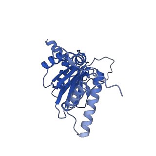 4590_6qm7_R_v1-2
Leishmania tarentolae proteasome 20S subunit complexed with GSK3494245