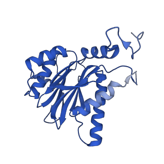 4590_6qm7_S_v1-2
Leishmania tarentolae proteasome 20S subunit complexed with GSK3494245