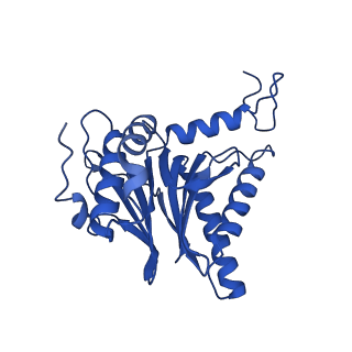 4590_6qm7_T_v1-2
Leishmania tarentolae proteasome 20S subunit complexed with GSK3494245