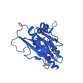 4590_6qm7_U_v1-2
Leishmania tarentolae proteasome 20S subunit complexed with GSK3494245