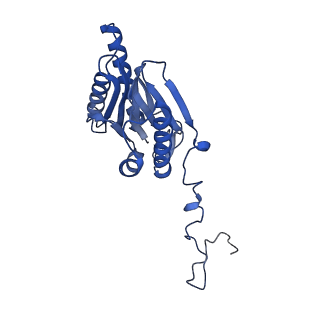 4590_6qm7_V_v1-2
Leishmania tarentolae proteasome 20S subunit complexed with GSK3494245