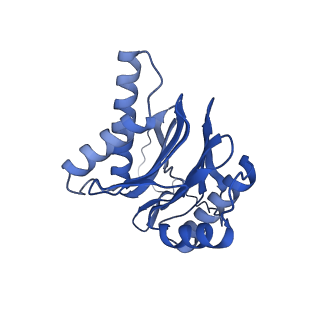 4590_6qm7_W_v1-2
Leishmania tarentolae proteasome 20S subunit complexed with GSK3494245