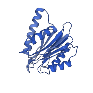 4590_6qm7_X_v1-2
Leishmania tarentolae proteasome 20S subunit complexed with GSK3494245