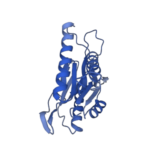 4590_6qm7_Y_v1-2
Leishmania tarentolae proteasome 20S subunit complexed with GSK3494245