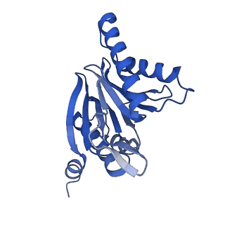 4590_6qm7_Z_v1-2
Leishmania tarentolae proteasome 20S subunit complexed with GSK3494245