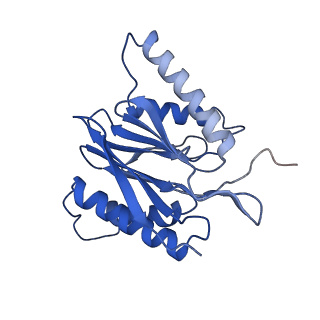 4590_6qm7_a_v1-2
Leishmania tarentolae proteasome 20S subunit complexed with GSK3494245
