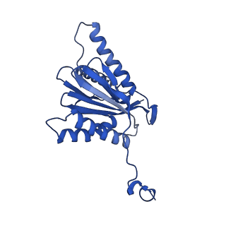 4590_6qm7_b_v1-2
Leishmania tarentolae proteasome 20S subunit complexed with GSK3494245