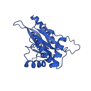 4591_6qm8_A_v1-2
Leishmania tarentolae proteasome 20S subunit apo structure
