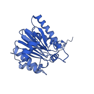 4591_6qm8_B_v1-2
Leishmania tarentolae proteasome 20S subunit apo structure