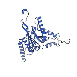 4591_6qm8_C_v1-2
Leishmania tarentolae proteasome 20S subunit apo structure