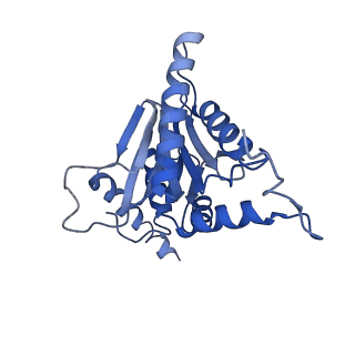 4591_6qm8_D_v1-2
Leishmania tarentolae proteasome 20S subunit apo structure