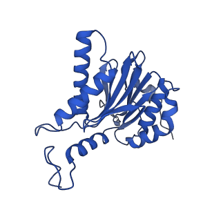 4591_6qm8_F_v1-2
Leishmania tarentolae proteasome 20S subunit apo structure