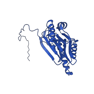 4591_6qm8_I_v1-2
Leishmania tarentolae proteasome 20S subunit apo structure