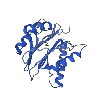 4591_6qm8_J_v1-2
Leishmania tarentolae proteasome 20S subunit apo structure