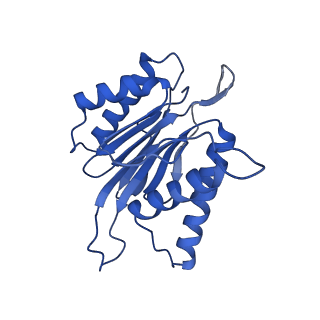 4591_6qm8_K_v1-2
Leishmania tarentolae proteasome 20S subunit apo structure