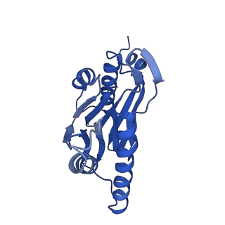 4591_6qm8_L_v1-2
Leishmania tarentolae proteasome 20S subunit apo structure