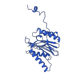 4591_6qm8_N_v1-2
Leishmania tarentolae proteasome 20S subunit apo structure