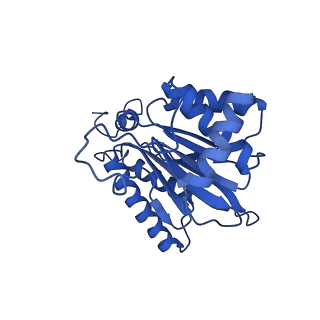 4591_6qm8_O_v1-2
Leishmania tarentolae proteasome 20S subunit apo structure