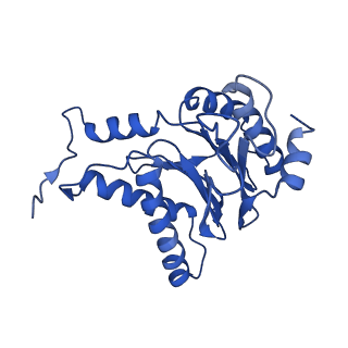 4591_6qm8_P_v1-2
Leishmania tarentolae proteasome 20S subunit apo structure
