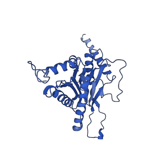 4591_6qm8_Q_v1-2
Leishmania tarentolae proteasome 20S subunit apo structure