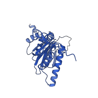 4591_6qm8_R_v1-2
Leishmania tarentolae proteasome 20S subunit apo structure