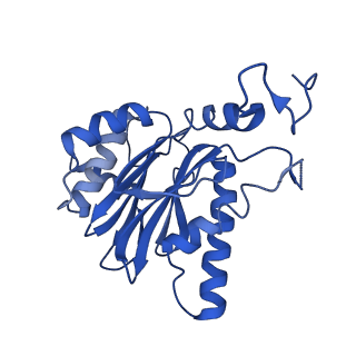 4591_6qm8_S_v1-2
Leishmania tarentolae proteasome 20S subunit apo structure