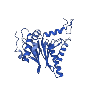 4591_6qm8_T_v1-2
Leishmania tarentolae proteasome 20S subunit apo structure