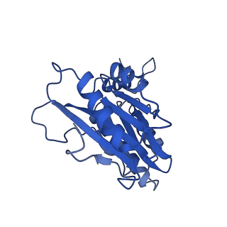 4591_6qm8_U_v1-2
Leishmania tarentolae proteasome 20S subunit apo structure