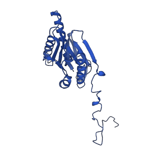 4591_6qm8_V_v1-2
Leishmania tarentolae proteasome 20S subunit apo structure