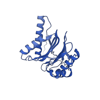 4591_6qm8_W_v1-2
Leishmania tarentolae proteasome 20S subunit apo structure