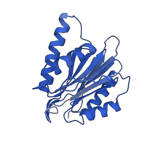 4591_6qm8_X_v1-2
Leishmania tarentolae proteasome 20S subunit apo structure