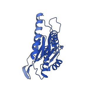 4591_6qm8_Y_v1-2
Leishmania tarentolae proteasome 20S subunit apo structure