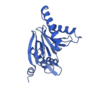 4591_6qm8_Z_v1-2
Leishmania tarentolae proteasome 20S subunit apo structure