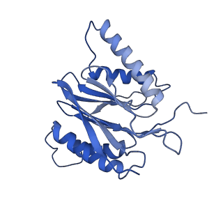 4591_6qm8_a_v1-2
Leishmania tarentolae proteasome 20S subunit apo structure