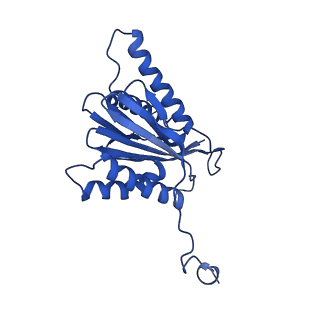 4591_6qm8_b_v1-2
Leishmania tarentolae proteasome 20S subunit apo structure