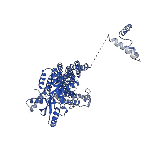 4592_6qm9_A_v1-2
Cryo-EM structure of calcium-bound nhTMEM16 lipid scramblase in nanodisc (open state)